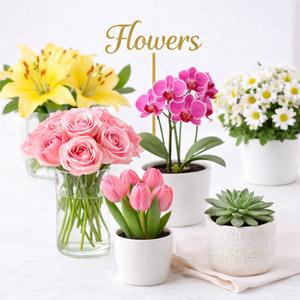Flowers